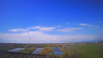 immagine della webcam nei dintorni di Porto Santa Margherita: webcam Carlino