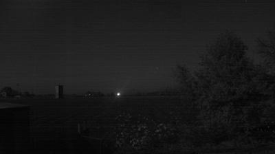 immagine della webcam nei dintorni di Ravenna: webcam Longastrino