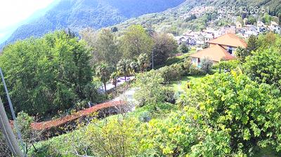 immagine della webcam nei dintorni di Cannobio: webcam Trarego Viggiona