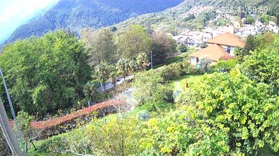 immagine della webcam nei dintorni di Cuvio: webcam Trarego Viggiona