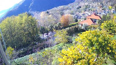 immagine della webcam nei dintorni di Baceno: webcam Trarego Viggiona