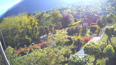 immagine della webcam nei dintorni di Re: webcam Trarego Viggiona