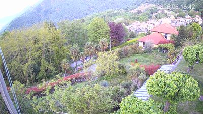 immagine della webcam nei dintorni di Laveno-Mombello: webcam Trarego Viggiona