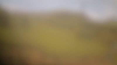 immagine della webcam nei dintorni di Pratiglione: webcam Alpette