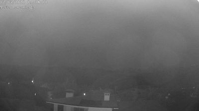 immagine della webcam nei dintorni di Pian del Cansiglio: webcam Budoia