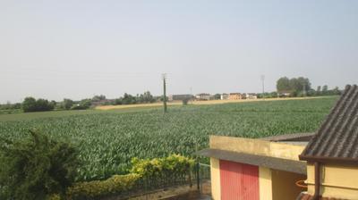 immagine della webcam nei dintorni di Asigliano Veneto: webcam Merlara