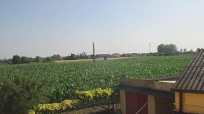immagine della webcam nei dintorni di Rovigo: webcam Merlara