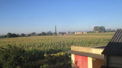 immagine della webcam nei dintorni di Lonigo: webcam Merlara