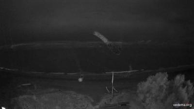 immagine della webcam nei dintorni di Ostia: webcam Torvaianica