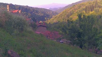 immagine della webcam nei dintorni di Passo della Consuma: webcam Ortignano Raggiolo