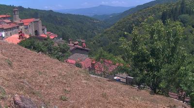 immagine della webcam nei dintorni di San Donato in Collina: webcam Ortignano Raggiolo