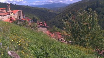 immagine della webcam nei dintorni di Campigna: webcam Ortignano Raggiolo