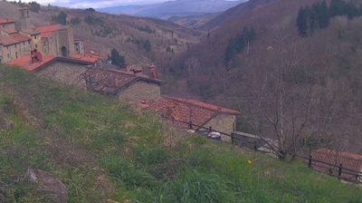immagine della webcam nei dintorni di Pian di Sco': webcam Ortignano Raggiolo