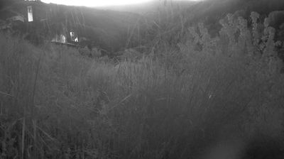 immagine della webcam nei dintorni di Montemignaio: webcam Ortignano Raggiolo