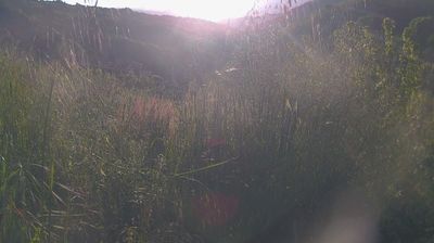immagine della webcam nei dintorni di Pelago: webcam Ortignano Raggiolo