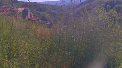 immagine della webcam nei dintorni di Montebonello: webcam Ortignano Raggiolo