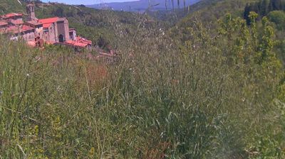 immagine della webcam nei dintorni di Campigna: webcam Ortignano Raggiolo