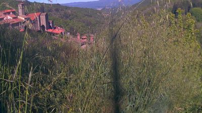immagine della webcam nei dintorni di Passo della Consuma: webcam Ortignano Raggiolo