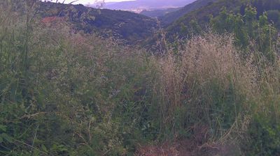 immagine della webcam nei dintorni di Eremo di Camaldoli: webcam Ortignano Raggiolo