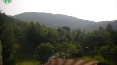 immagine della webcam nei dintorni di Polsa: webcam Trambileno