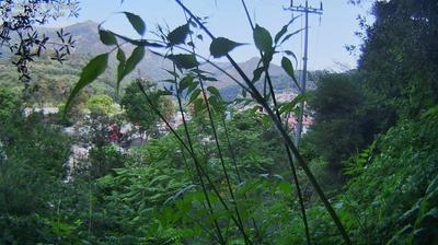 immagine della webcam nei dintorni di Molini di Triora: webcam Dolceacqua