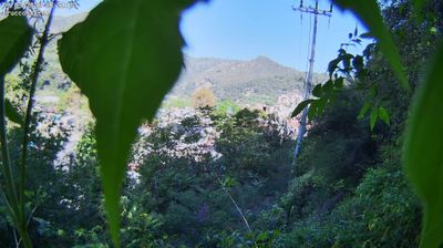 Preview delle webcam di Dolceacqua