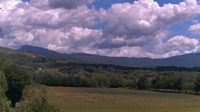 immagine della webcam nei dintorni di Pelago: webcam Bibbiena