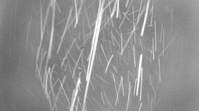 immagine della webcam nei dintorni di Sala Comacina: webcam Campione d'Italia