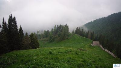 immagine della webcam nei dintorni di Ampezzo: webcam Sauris