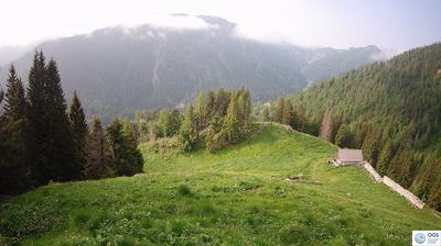 immagine della webcam nei dintorni di Cercivento: webcam Sauris