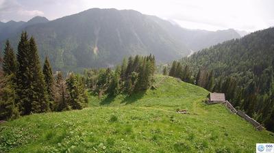 immagine della webcam nei dintorni di Lorenzago di Cadore: webcam Sauris