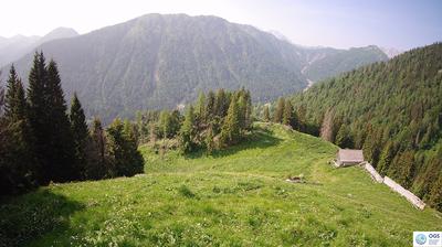 immagine della webcam nei dintorni di Laggio di Cadore: webcam Sauris