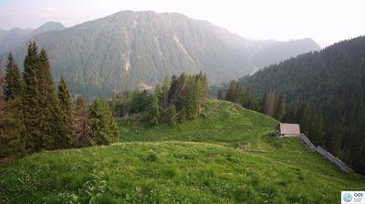immagine della webcam nei dintorni di Laggio di Cadore: webcam Sauris