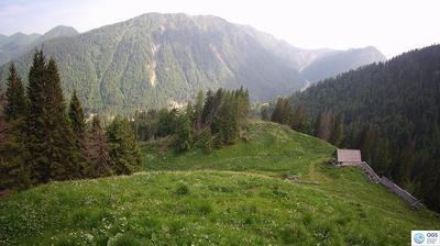 immagine della webcam nei dintorni di Domegge di Cadore: webcam Sauris