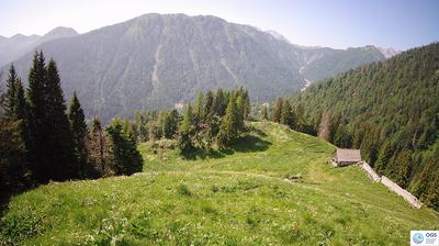 immagine della webcam nei dintorni di San Nicolò di Comelico: webcam Sauris