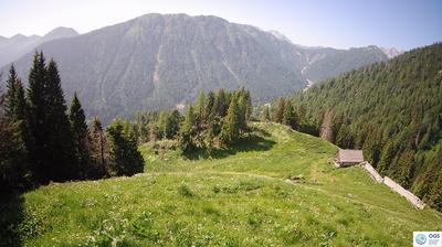 immagine della webcam nei dintorni di Forni di Sopra: webcam Sauris