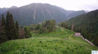immagine della webcam nei dintorni di Domegge di Cadore: webcam Sauris