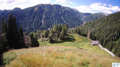immagine della webcam nei dintorni di Enemonzo: webcam Sauris