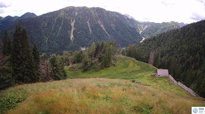 immagine della webcam nei dintorni di Lorenzago di Cadore: webcam Sauris