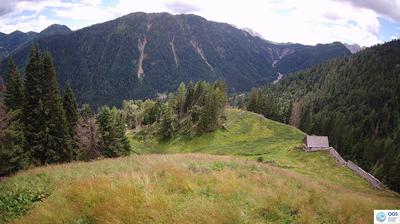 immagine della webcam nei dintorni di Cercivento: webcam Sauris
