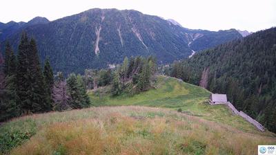 immagine della webcam nei dintorni di Comelico Superiore: webcam Sauris