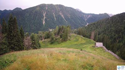 immagine della webcam nei dintorni di Arta Terme: webcam Sauris