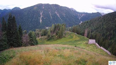 immagine della webcam nei dintorni di Forni di Sopra: webcam Sauris