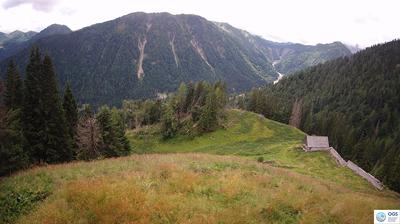 immagine della webcam nei dintorni di Domegge di Cadore: webcam Sauris