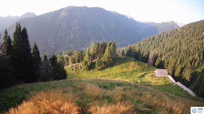 immagine della webcam nei dintorni di Laggio di Cadore: webcam Sauris