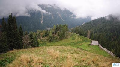 immagine della webcam nei dintorni di Arta Terme: webcam Sauris