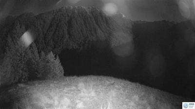 immagine della webcam nei dintorni di Monte Zoncolan: webcam Sauris