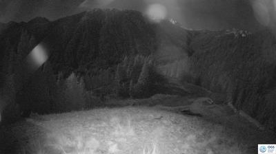 immagine della webcam nei dintorni di Cima Sappada: webcam Sauris