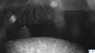 immagine della webcam nei dintorni di Forni Avoltri: webcam Sauris