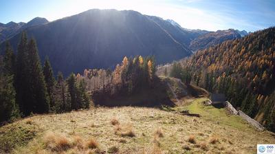 immagine della webcam nei dintorni di Enemonzo: webcam Sauris